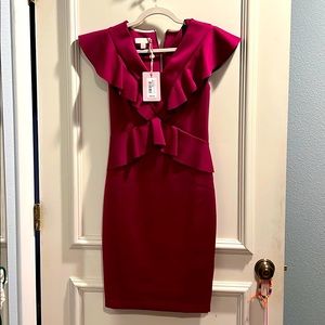 Ted Baker dress